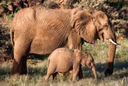 Namibia_April_2025 (32/79)